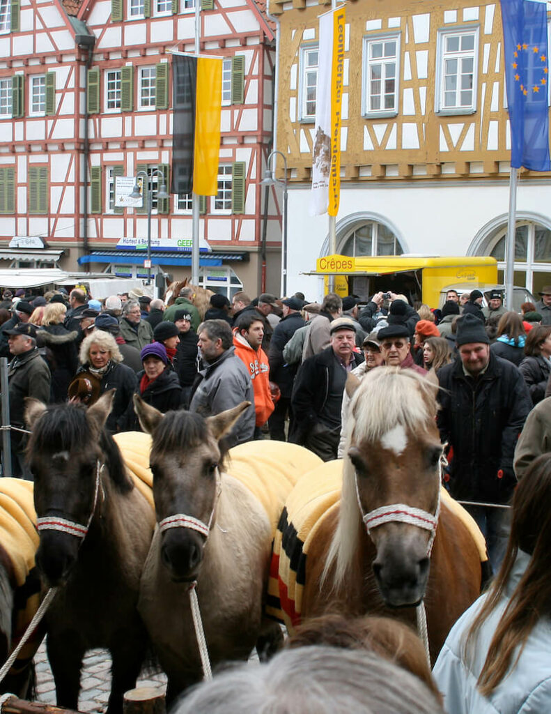 Pferdemarkt Leonberg